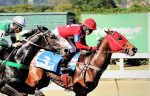 Galeria de Fotos – Confira os vencedores deste SÁBADO (08) no JCB