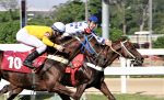 De farda nova, Goldzilla conquista a P.E. Mensageiro Alado