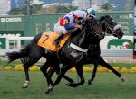Galeria de Fotos – Confira os vencedores deste DOMINGO (16) no JCB