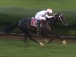 Múltiplo G1 winner no Brasil, Lamartine vence allowance nos EUA