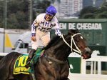 Pedigrees da semana do Festival do GP Brasil 2019