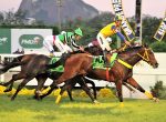 Tropel irresistível de Midsummer Rain para levar o GP Roberto e Nelson Grimaldi Seabra (G1)
