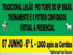 Pro Turfe realiza seu tradicional leilão na sexta, após as corridas