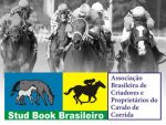 Chamada: Festival da Copa dos Criadores ABCPCC 2019