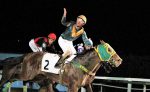 Galeria de Fotos – Confira os vencedores desta TERÇA (30)