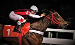Go To Riviera confirma o favoritismo na P.E. Oscar Pacheco Borges