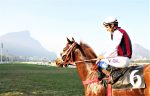 Galeria de Fotos – Confira os vencedores deste DOMINGO (14) no JCB