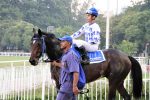 Pedigrees da semana: George Washington e Wind of Change