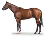 Pedigree da semana: Can the Man