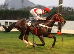 Galeria de Fotos – Confira os vencedores deste DOMINGO (11) no JCB