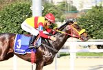 Wind Of Change, dominante e absoluto no GP João José e José Carlos de Figueiredo (G3)