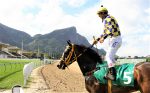 Galeria de Fotos – Confira os vencedores deste SÁBADO (24) no JCB