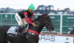 (PR) Dark Bobby, do Stud Stabile Quintella, soberano no Clássico Governador do Estado (L.)