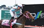 (PR) Golden Pacific, do Haras Sweet Carol, a campeã do Clássico Primavera (L.)