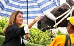 Galeria de Fotos – Confira os vencedores deste SÁBADO (28) no JCB