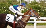 Galeria de Fotos – Confira os vencedores deste DOMINGO (08) no JCB