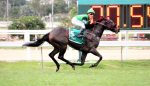Pedigrees da semana: Grand Amiga/Itaperuna, Fillmore e Joe Gold