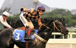 Pedigree da semana: Lele Buchecha