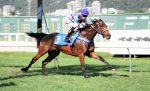 Aconteceu – Prova Especial Courageuse