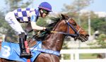 Little Bad Girl atropela forte para vencer a P.E.Courageuse