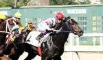 Galeria de Fotos – Confira os vencedores deste DOMINGO (13) no JCB