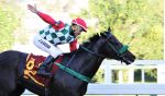 Hard Boiled, de perdedor a campeão do GP Linneo de Paula Machado (G1)