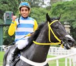 Pedigree da semana: Nice Lady