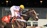 Invicto na grama e dominante, Royal Ship dá show no Clássico Ernani de Freitas (L.)