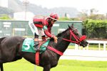 Galeria de Fotos – Confira os vencedores deste DOMINGO (17) no JCB