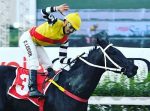 Rumo ao Pellegrini, Não Da Mais comanda dobrada Haras Phillipson no GP Derby Paulista (G1)