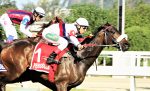 Perigoosa supera Grandeza no GP Marciano de Aguiar Moreira (G2)