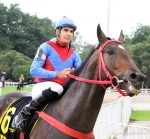 Pedigree da semana: Tiepollo