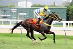 GP Mariano Procópio (G3): Mais Que Bonita, forte rumo ao Possolo