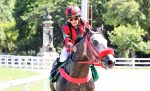Galeria de Fotos – Confira os vencedores deste DOMINGO (15) no JCB