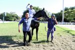 Invicta e valente, Nice Lady brilha no GP Cordeiro da Graça (G2)