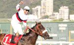 Pimper’s Paradise e Or Noir, domínio do Haras Doce Vale no GP Almirante Tamandaré (G2)