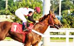 Galeria de Fotos – Confira os vencedores desta TERÇA (17)