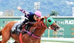 Galeria de Fotos – Confira os vencedores deste DOMINGO (22) no JCB