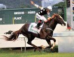 Retrospectiva Clássica 2019 – GP Estado do Rio de Janeiro (G1)