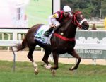 Aconteceu – GP Henrique Possolo (G1) – 1ª Etapa da Tríplice Coroa de Potrancas