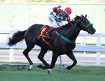 Retrospectiva Clássica 2019 – GP Linneo de Paula Machado (G1)