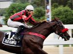 Retrospectiva Clássica 2019 – GP Jockey Club Brasileiro (G1)