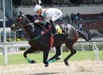 Keep Down representa o turfe nacional no GP Jose Pedro Ramirez (G1)