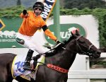 Retrospectiva Clássica 2019 – GP Francisco Eduardo de Paula Machado (G1)