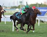 EUA: Touriga conquista o Via Borghese Stakes