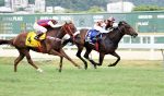 Rumo ao Possolo, Intuição vence o GP Roger Guedon (G3)