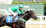 Gone Hollywood vence homenagem a seu avô Wild Event