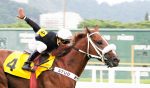 Galeria de Fotos – Confira os vencedores deste DOMINGO (19) no JCB