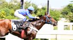 Galeria de Fotos – Confira os vencedores deste DOMINGO (26) no JCB