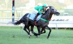 Mstraubarry atropela forte para vencer a P.E.Waldmeister